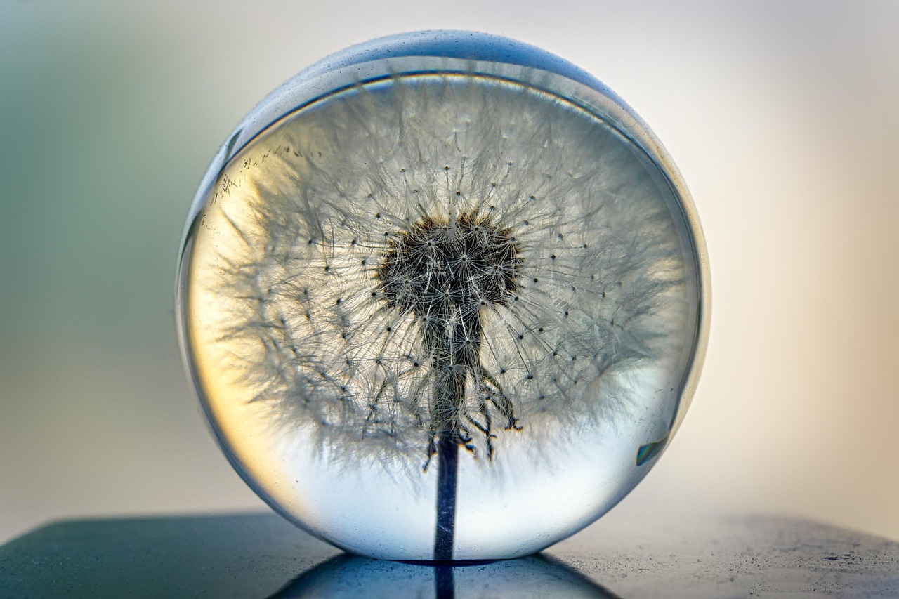 Trauma Psychotherapie Christine Schnitzer