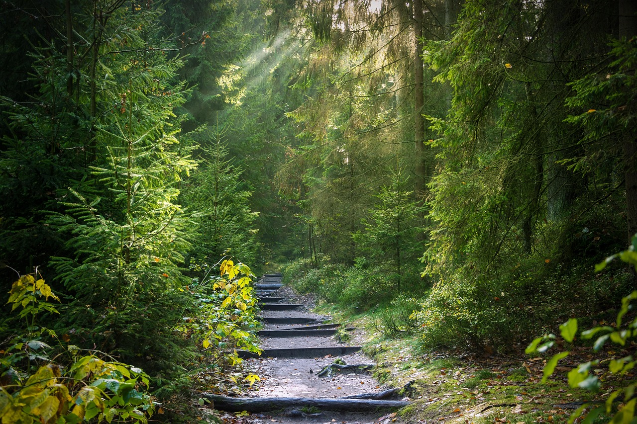 Ängste und innere Unruhe Psychotherapie Klagenfurt